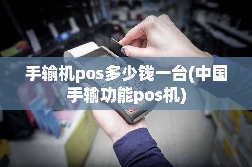 手输机pos多少钱一台(中国手输功能pos机)