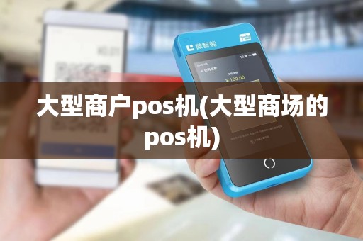 大型商户pos机(大型商场的pos机)