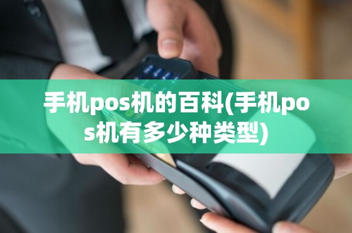 手机pos机的百科(手机pos机有多少种类型)