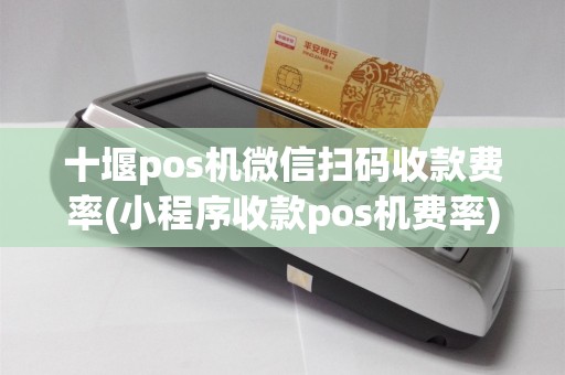 十堰pos机微信扫码收款费率(小程序收款pos机费率)