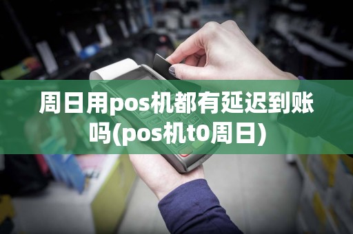 周日用pos机都有延迟到账吗(pos机t0周日)