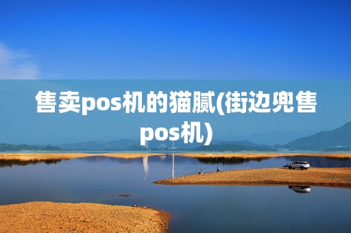 售卖pos机的猫腻(街边兜售pos机)