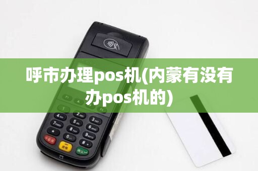 呼市办理pos机(内蒙有没有办pos机的)