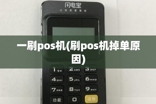 一刷pos机(刷pos机掉单原因)