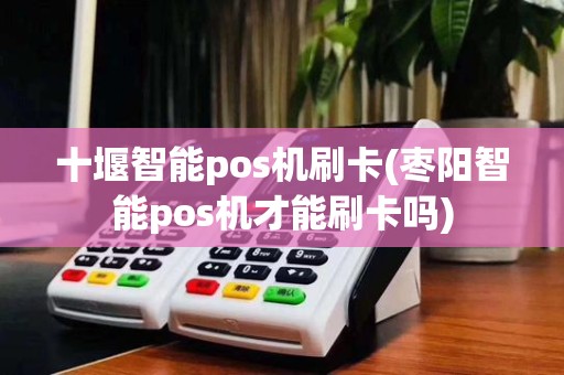 十堰智能pos机刷卡(枣阳智能pos机才能刷卡吗)