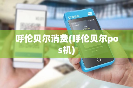 呼伦贝尔消费(呼伦贝尔pos机)
