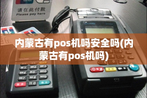 内蒙古有pos机吗安全吗(内蒙古有pos机吗)