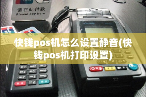 快钱pos机怎么设置静音(快钱pos机打印设置)