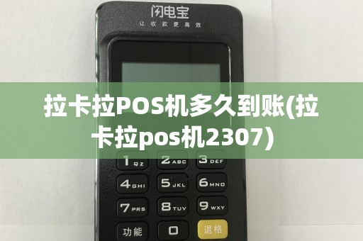 拉卡拉POS机多久到账(拉卡拉pos机2307)