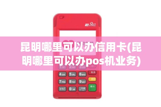 昆明哪里可以办信用卡(昆明哪里可以办pos机业务)