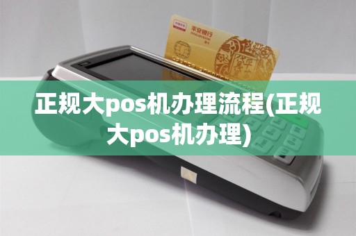正规大pos机办理流程(正规大pos机办理)