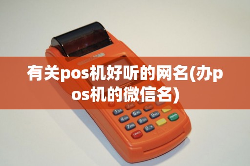 有关pos机好听的网名(办pos机的微信名)
