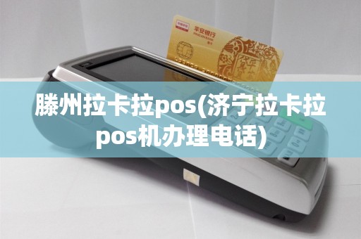 滕州拉卡拉pos(济宁拉卡拉pos机办理电话)