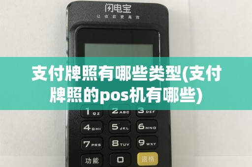 支付牌照有哪些类型(支付牌照的pos机有哪些)