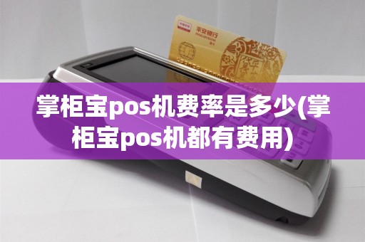 掌柜宝pos机费率是多少(掌柜宝pos机都有费用)