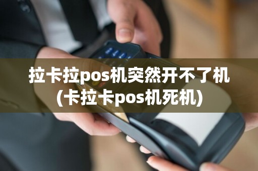 拉卡拉pos机突然开不了机(卡拉卡pos机死机)