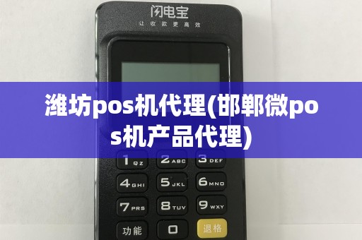 潍坊pos机代理(邯郸微pos机产品代理)