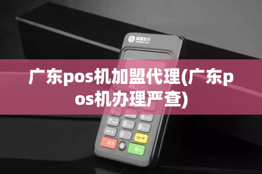 广东pos机加盟代理(广东pos机办理严查)
