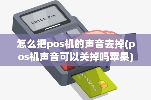 怎么把pos机的声音去掉(pos机声音可以关掉吗苹果)