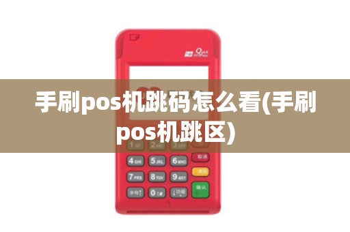 手刷pos机跳码怎么看(手刷pos机跳区)