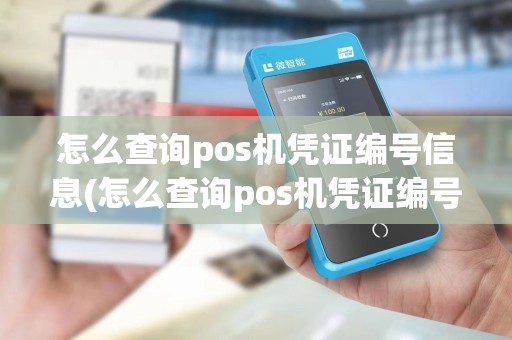 怎么查询pos机凭证编号信息(怎么查询pos机凭证编号)