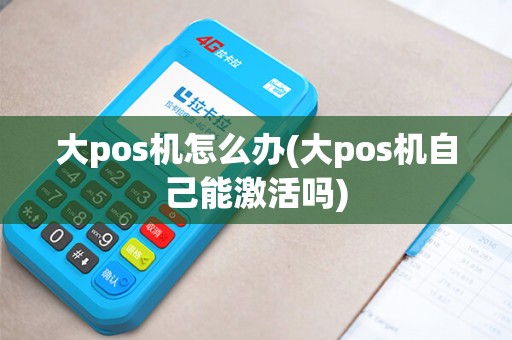 大pos机怎么办(大pos机自己能激活吗)