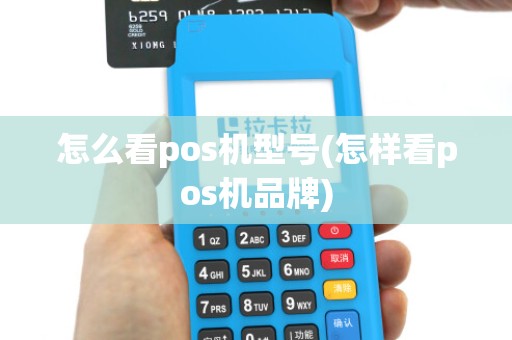 怎么看pos机型号(怎样看pos机品牌)