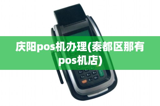 庆阳pos机办理(秦都区那有pos机店)