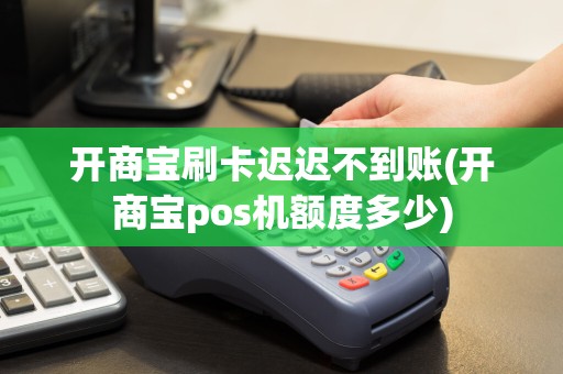 开商宝刷卡迟迟不到账(开商宝pos机额度多少)