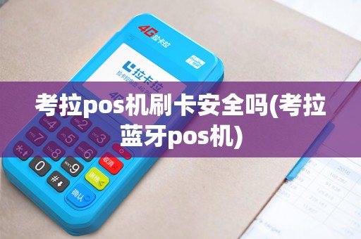 考拉pos机刷卡安全吗(考拉蓝牙pos机)