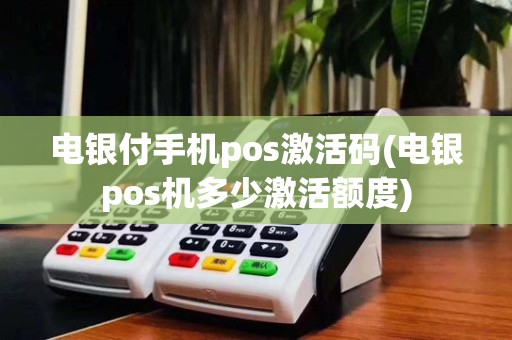 电银付手机pos激活码(电银pos机多少激活额度)
