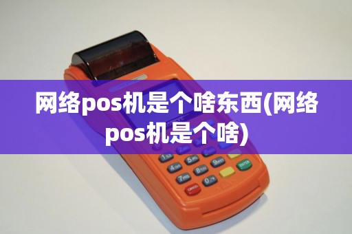 网络pos机是个啥东西(网络pos机是个啥)