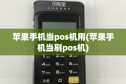 苹果手机当pos机用(苹果手机当刷pos机)