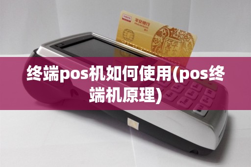 终端pos机如何使用(pos终端机原理)