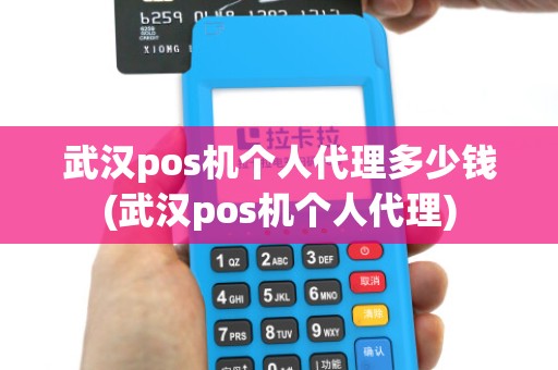 武汉pos机个人代理多少钱(武汉pos机个人代理)