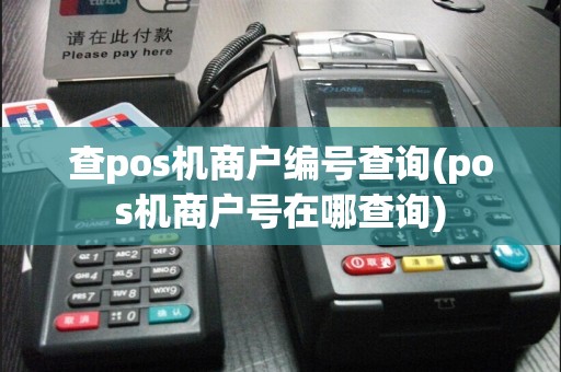查pos机商户编号查询(pos机商户号在哪查询)