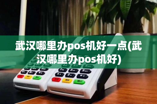 武汉哪里办pos机好一点(武汉哪里办pos机好)