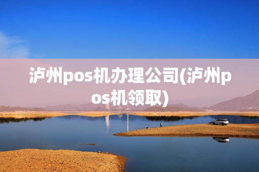 泸州pos机办理公司(泸州pos机领取)