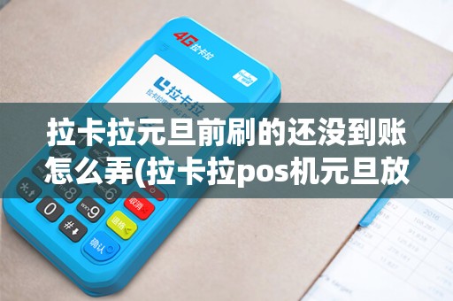 拉卡拉元旦前刷的还没到账怎么弄(拉卡拉pos机元旦放假)