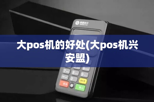 大pos机的好处(大pos机兴安盟)