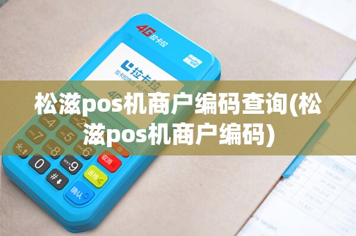 松滋pos机商户编码查询(松滋pos机商户编码)