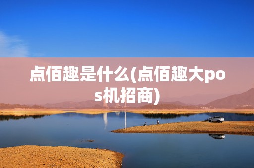 点佰趣是什么(点佰趣大pos机招商)