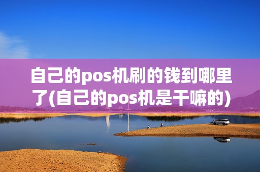 自己的pos机刷的钱到哪里了(自己的pos机是干嘛的)