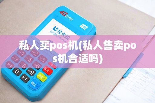 私人买pos机(私人售卖pos机合适吗)