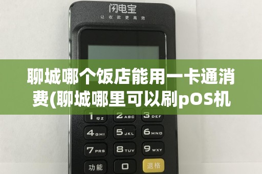 聊城哪个饭店能用一卡通消费(聊城哪里可以刷pOS机)