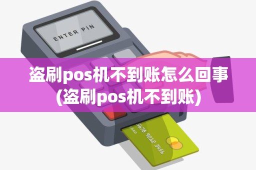 盗刷pos机不到账怎么回事(盗刷pos机不到账)