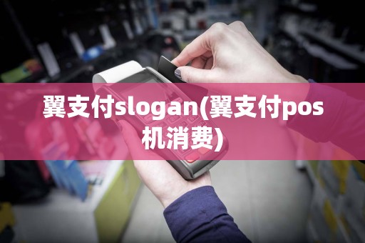 翼支付slogan(翼支付pos机消费)