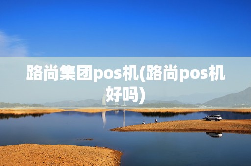 路尚集团pos机(路尚pos机好吗)