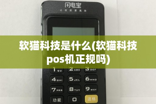 软猫科技是什么(软猫科技pos机正规吗)