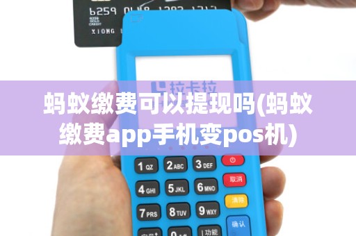 蚂蚁缴费可以提现吗(蚂蚁缴费app手机变pos机)